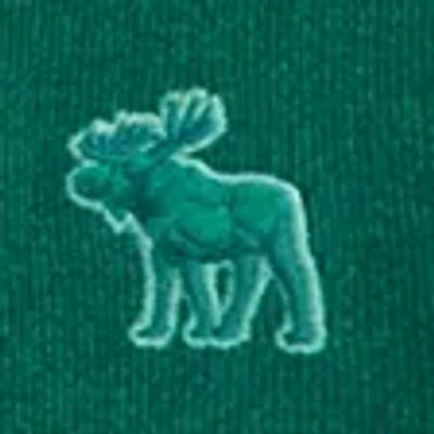 Abercrombie & Fitch Cozy Hooded Long-sleeve Tee In Green