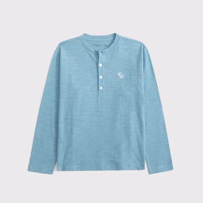 Abercrombie & Fitch Long-sleeve Slub Cotton Icon Henley In Blue
