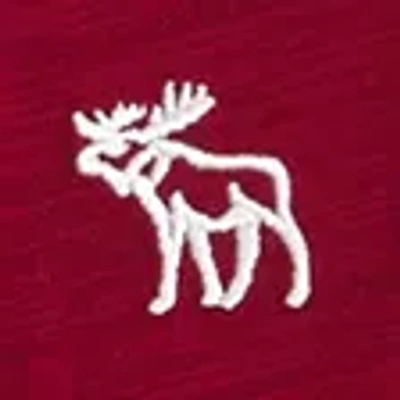 Abercrombie & Fitch Long-sleeve Slub Cotton Icon Henley In Burgundy