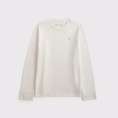 Abercrombie & Fitch Essential Heavyweight Long-sleeve Icon Crew Tee In Neutral