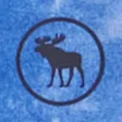 Abercrombie & Fitch Ypb Core Tee In Blue