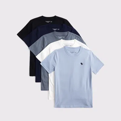 Abercrombie & Fitch 5-pack Icon Crew Tees In Multi