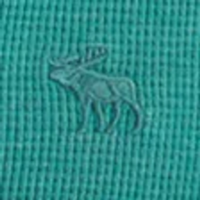 Abercrombie & Fitch Washed Long-sleeve Waffle Icon Henley In Green