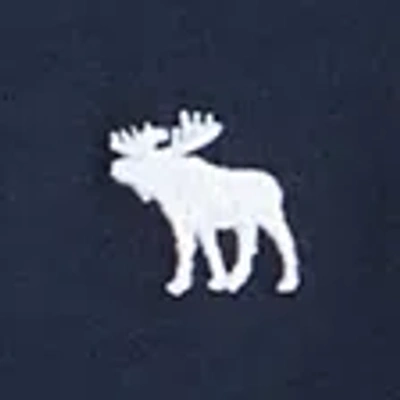 Abercrombie & Fitch Essential Long-sleeve Icon Crew Tee In Blue