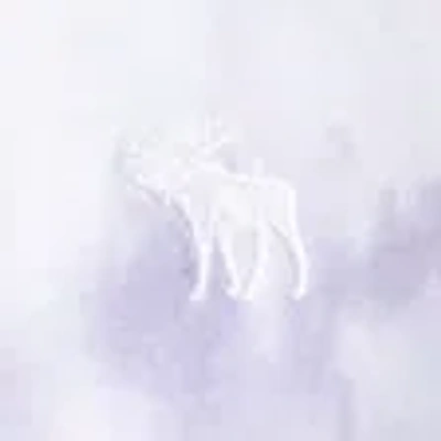 Abercrombie & Fitch Essential Icon Crew Tee