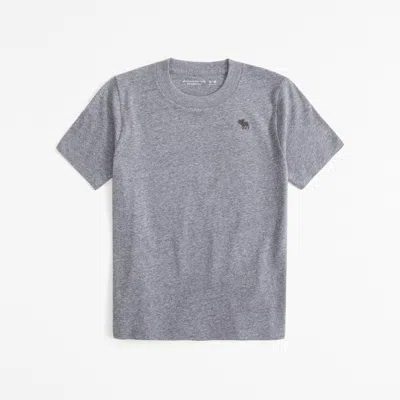 Abercrombie & Fitch Essential Icon Crew Tee In Gray