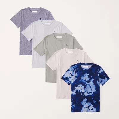 Abercrombie & Fitch 5-pack Icon Crew Tees In Multi