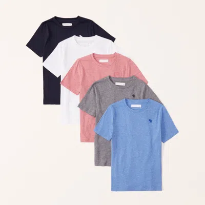 Abercrombie & Fitch 5-pack Icon Crew Tee In Multi