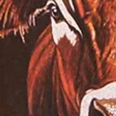 Abercrombie & Fitch University Of Texas Graphic Tee