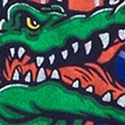 Abercrombie & Fitch University Of Florida Graphic Tee