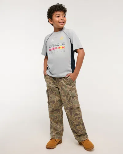 Abercrombie & Fitch Oracle Red Bull Racing Short-sleeve Fashion Top In Gray