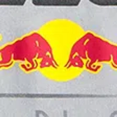 Abercrombie & Fitch Oracle Red Bull Racing Short-sleeve Fashion Top In Gray