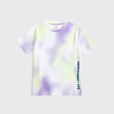 Abercrombie & Fitch Ypb Imagery Graphic Logo Tee