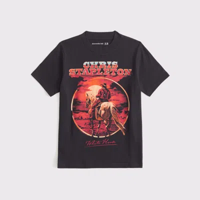 Abercrombie & Fitch Chris Stapleton Graphic Tee In Gray