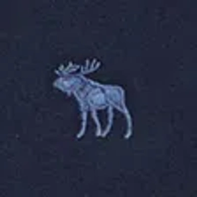 Abercrombie & Fitch Essential Icon Hoodie In Purple