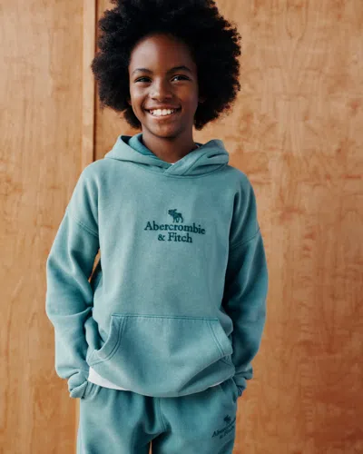 Abercrombie & Fitch Logo Popover Hoodie In Green