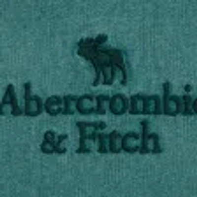Abercrombie & Fitch Logo Popover Hoodie In Green