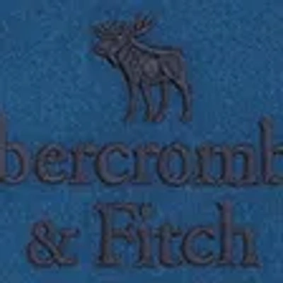 Abercrombie & Fitch Logo Popover Hoodie In Blue