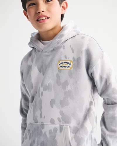 Abercrombie & Fitch Pony Print Logo Graphic Popover Hoodie In Gray