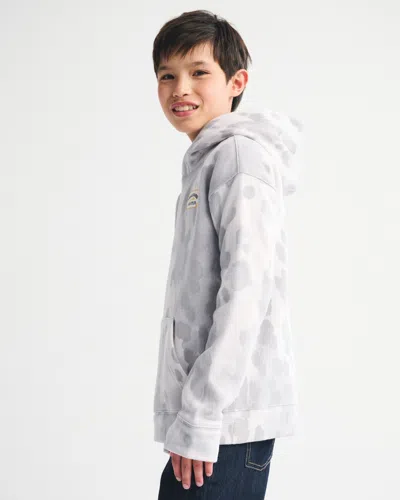 Abercrombie & Fitch Pony Print Logo Graphic Popover Hoodie In Gray