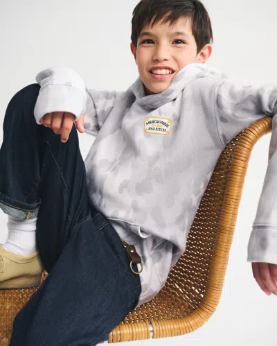 Abercrombie & Fitch Pony Print Logo Graphic Popover Hoodie In Gray