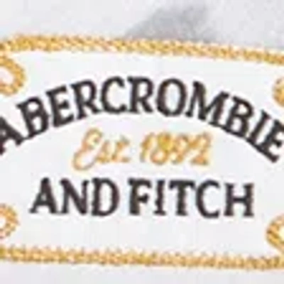 Abercrombie & Fitch Pony Print Logo Graphic Popover Hoodie In Gray