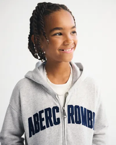 Abercrombie & Fitch Logo Full-zip Hoodie In Gray