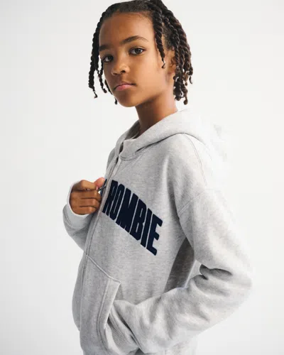 Abercrombie & Fitch Logo Full-zip Hoodie In Gray