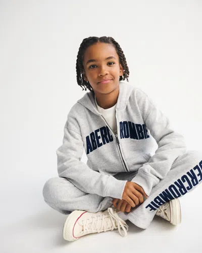 Abercrombie & Fitch Logo Full-zip Hoodie In Gray