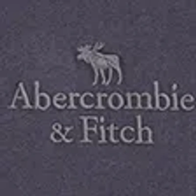 Abercrombie & Fitch Logo Popover Hoodie In Gray