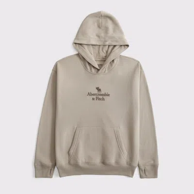 Abercrombie & Fitch Logo Popover Hoodie In Gray