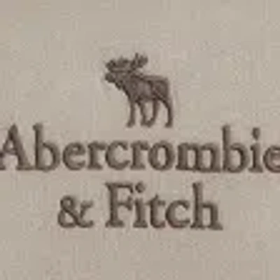 Abercrombie & Fitch Logo Popover Hoodie In Gray