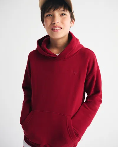 Abercrombie & Fitch Essential Icon Hoodie
