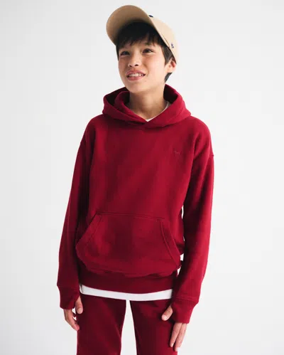 Abercrombie & Fitch Essential Icon Hoodie