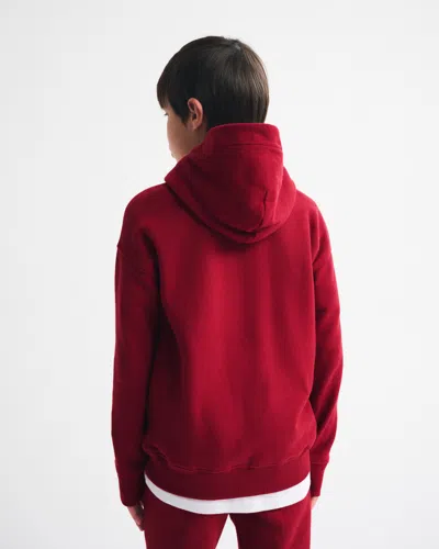 Abercrombie & Fitch Essential Icon Hoodie