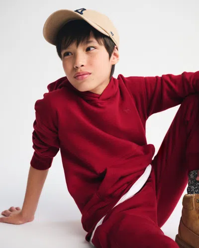 Abercrombie & Fitch Essential Icon Hoodie