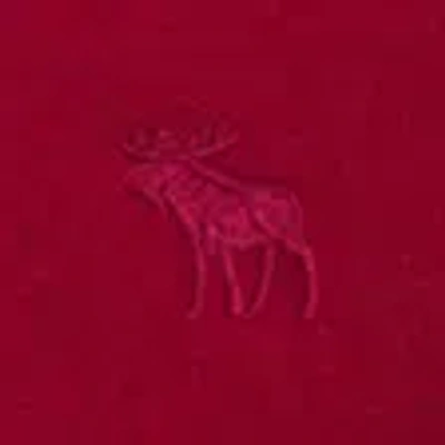 Abercrombie & Fitch Essential Icon Hoodie