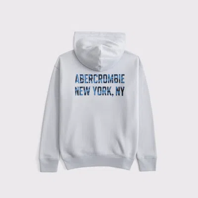 Abercrombie & Fitch Logo Popover Hoodie In Gray
