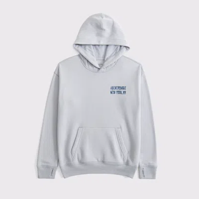 Abercrombie & Fitch Logo Popover Hoodie In Gray