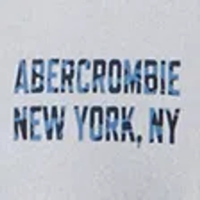 Abercrombie & Fitch Logo Popover Hoodie In Gray