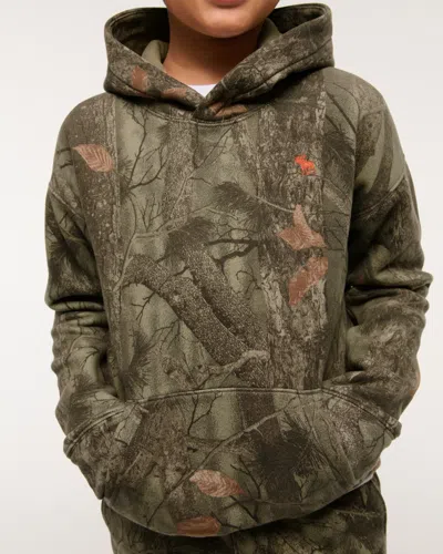 Abercrombie & Fitch Essential Icon Hoodie In Multi