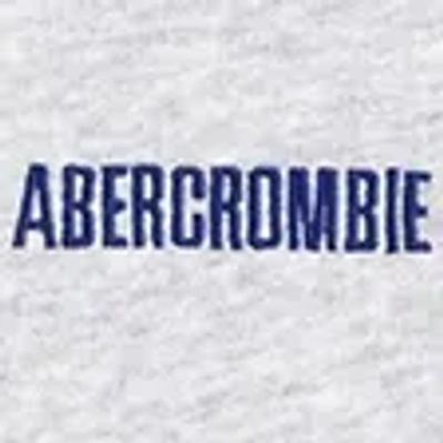 Abercrombie & Fitch Logo Crew Sweatshirt In Gray