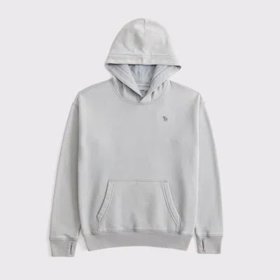 Abercrombie & Fitch Essential Icon Hoodie In Gray