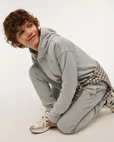 Abercrombie & Fitch Essential Icon Hoodie In Gray