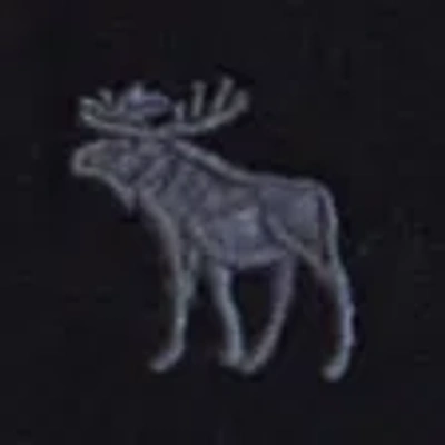 Abercrombie & Fitch Essential Icon Hoodie In Black