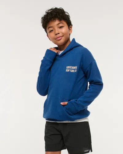Abercrombie & Fitch Logo Popover Hoodie In Blue