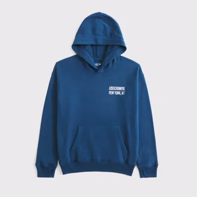 Abercrombie & Fitch Logo Popover Hoodie In Blue