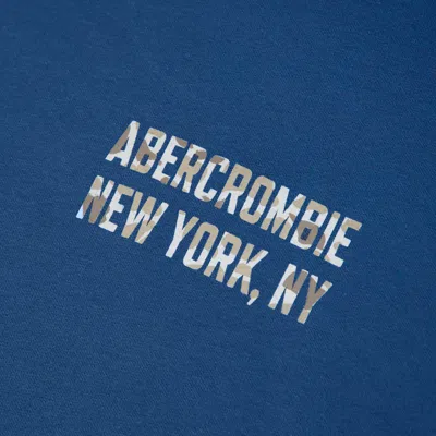 Abercrombie & Fitch Logo Popover Hoodie In Blue