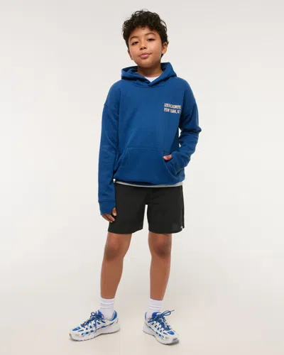 Abercrombie & Fitch Logo Popover Hoodie In Blue
