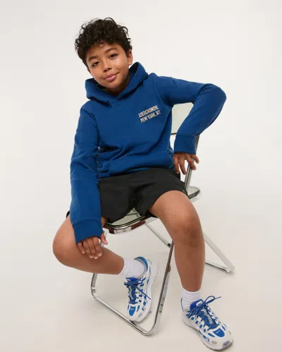 Abercrombie & Fitch Logo Popover Hoodie In Blue